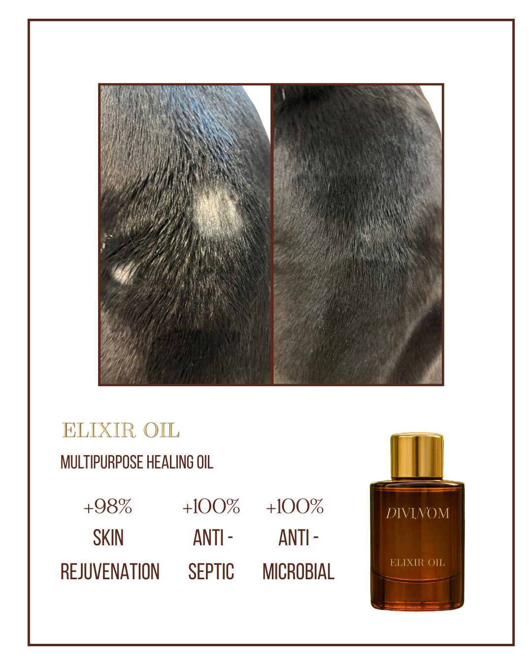 Elixir Oil
