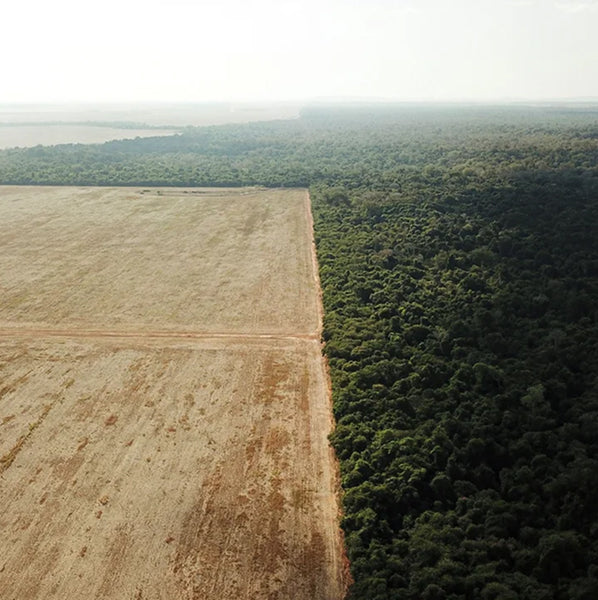 Mother Earth