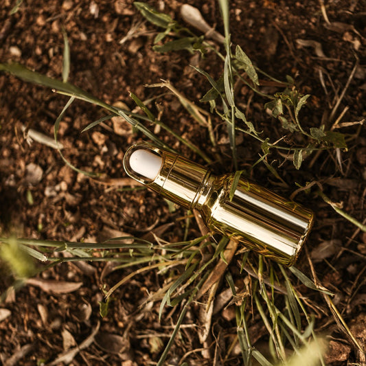 Restorative Tulasi Drops