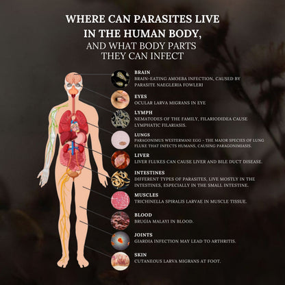 Advanced Parasite Cleanse