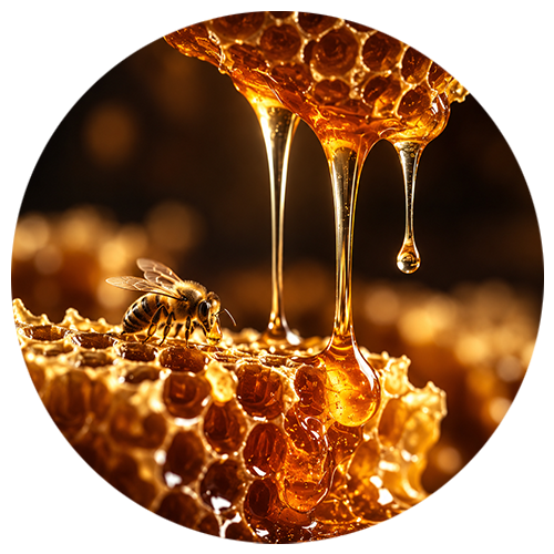 Ingredient Image 1