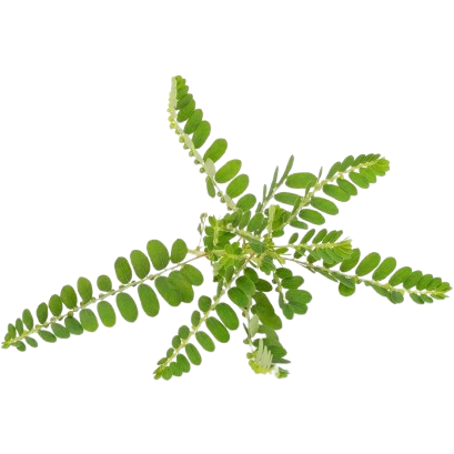 Ingredient Image 2