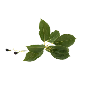 Ingredient Image 3