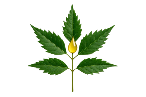 Ingredient Image 3