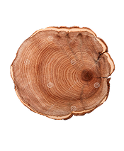 Ingredient Image 10